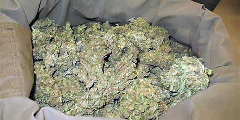 Crotone Droga: in 2 buste, un chilo di marijuana nascosta in ex scuola, sequestro.