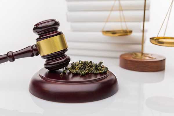 Legalizzazione della cannabis: riparte l’iter in Parlamento