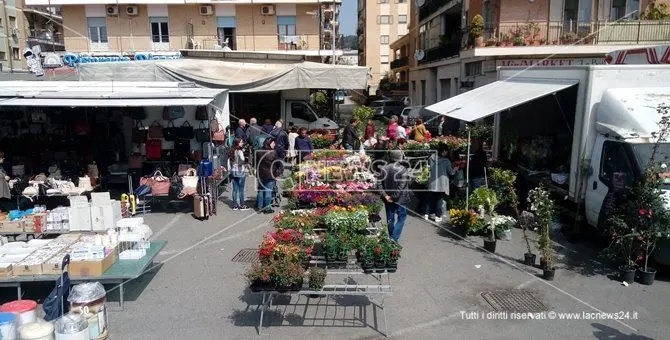 Catanzaro. Mercato rionale zona nord disposto regolare. I dettagli