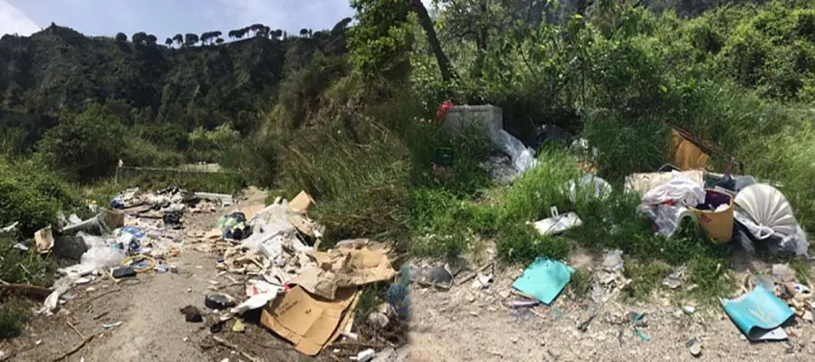 Catanzaro. Manuela Costanzo: rimuovere immediatamente la vergognosa discarica a cielo aperto