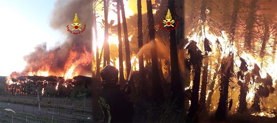 Panico tra gli abitanti, divampa una serra a Lamezia. Intervento dei Vvf. Foto