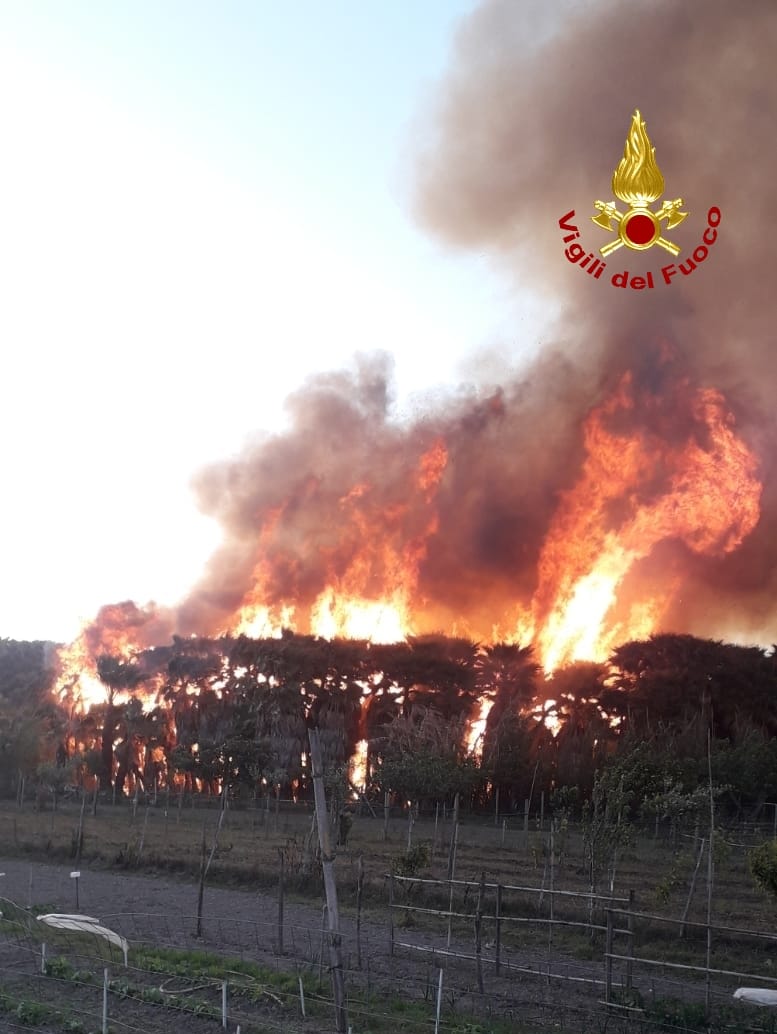Panico tra gli abitanti, divampa una serra a Lamezia. Intervento dei Vvf. Foto