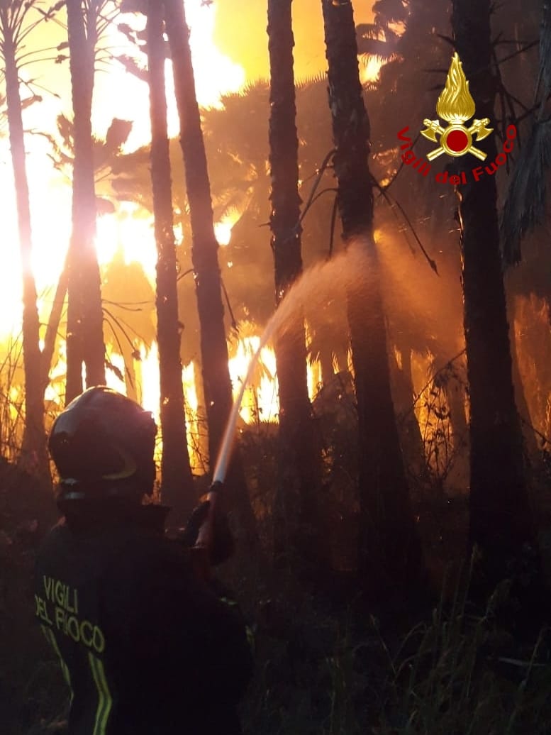 Panico tra gli abitanti, divampa una serra a Lamezia. Intervento dei Vvf. Foto
