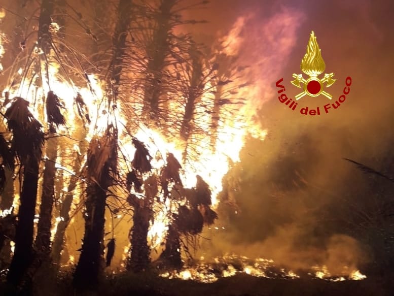 Panico tra gli abitanti, divampa una serra a Lamezia. Intervento dei Vvf. Foto