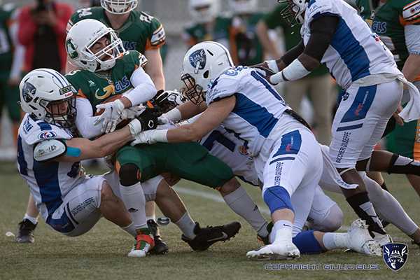 Panthers, Warriors e Guelfi protagoniste della Week 6. delusione Seamen in Cefl