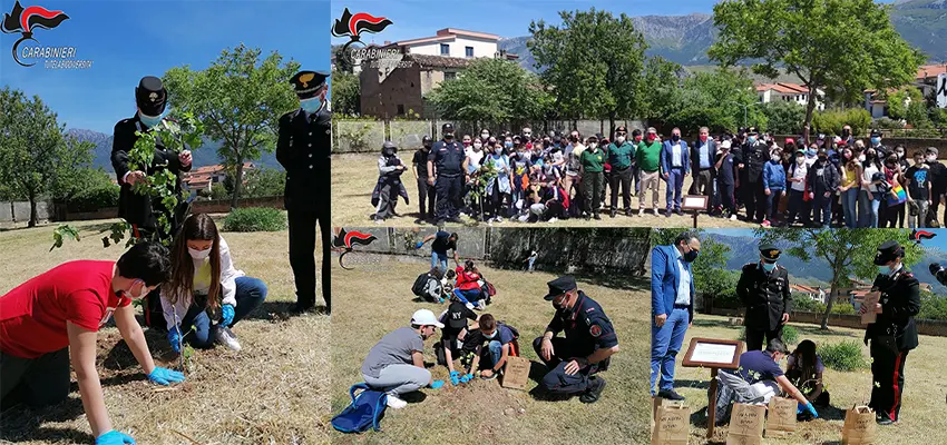 “Un Albero per il Futuro”. A Castrovillari il progetto nazionale di educazione ambientale