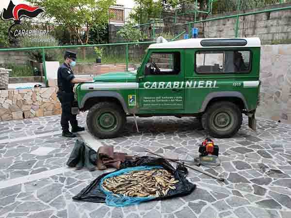 Pesca di frodo con generatore di corrente. 3 persone denunciate dai Carabinieri Forestale
