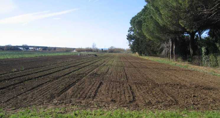 'Ndrangheta: arresti, boss decidevano acquirenti terreni