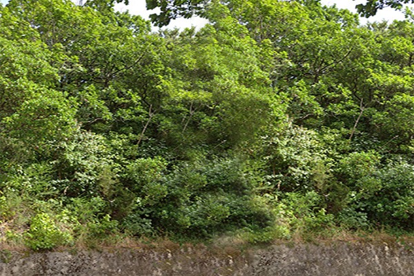 Poesie. Walter Perri: Ti ricorderai del mio amore