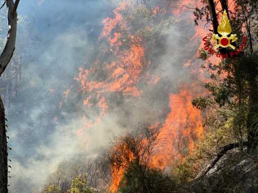 Calabria. Incendi: tragedia è morto l'uomo ustionato
