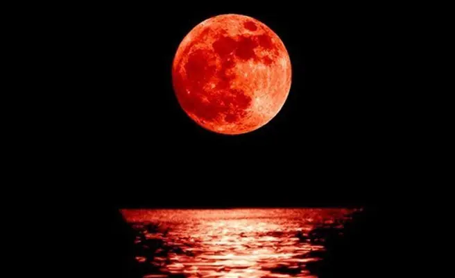 Poesie. Walter Perri: Amo la notte