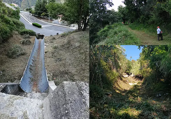 Calabria verde replica alle dichiarazioni del Sindaco di taverna Sebastiano Tarantino