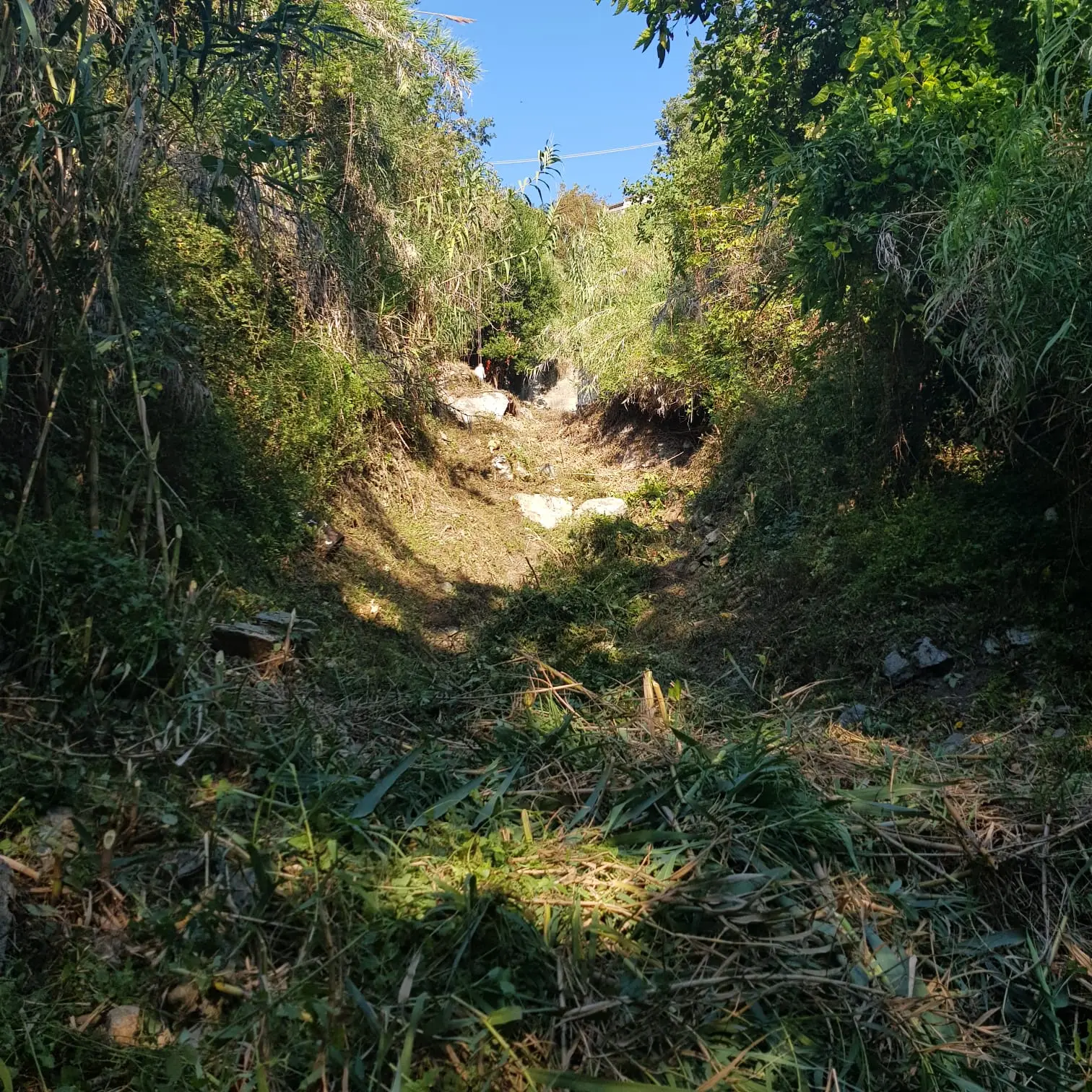 Calabria verde replica alle dichiarazioni del Sindaco di taverna Sebastiano Tarantino