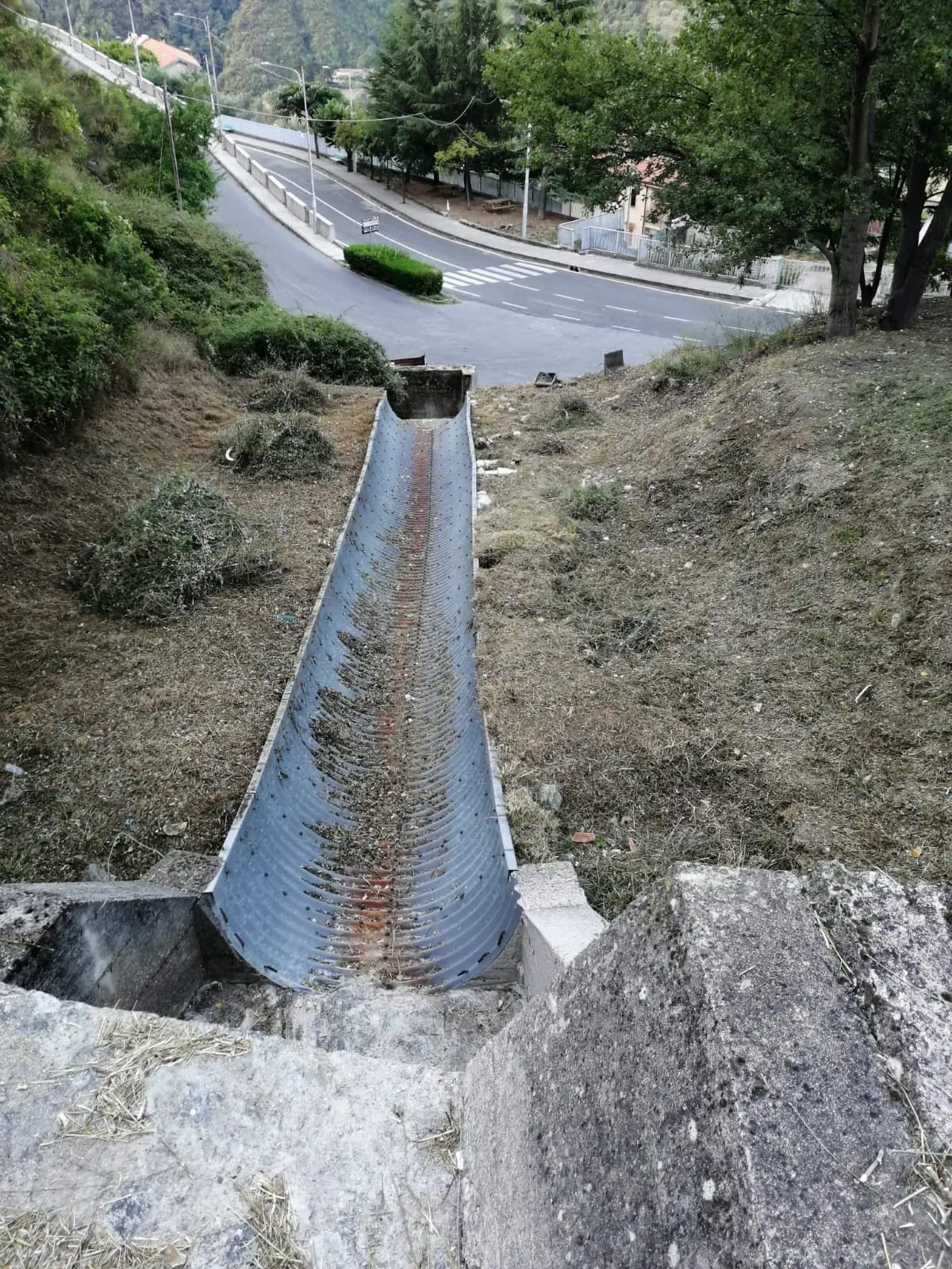 Calabria verde replica alle dichiarazioni del Sindaco di taverna Sebastiano Tarantino