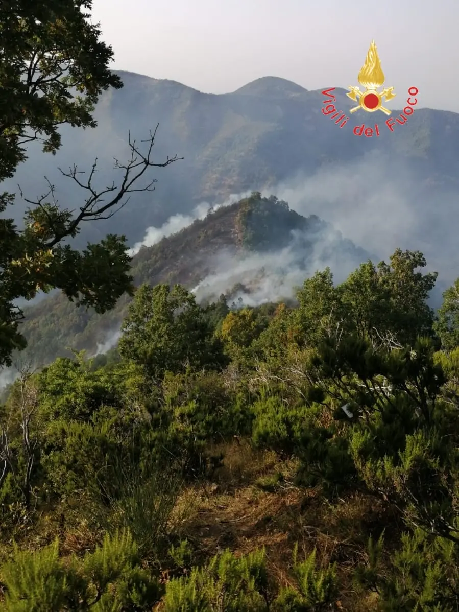 Instancabili Vvf. Li chiamano “Angeli Custodi-Salvatori” Ieri 170 interventi in Calabria. Foto-Vido