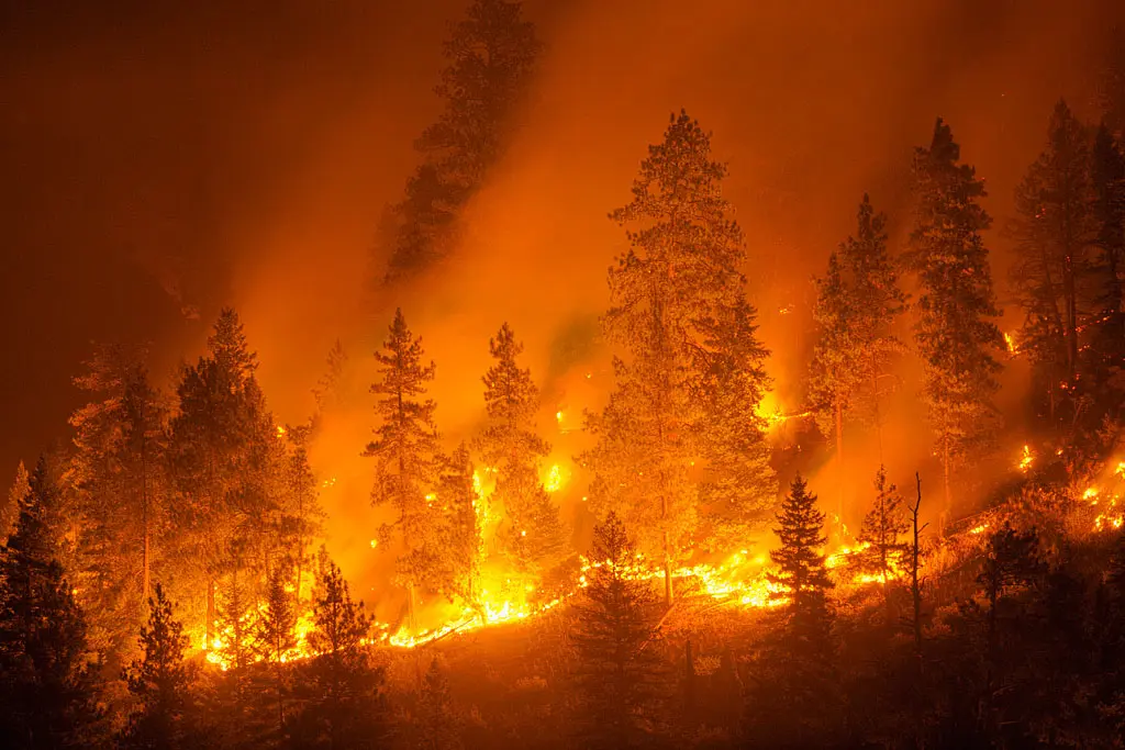 Incendi: Prefettura Reggio Calabria, interviene Esercito