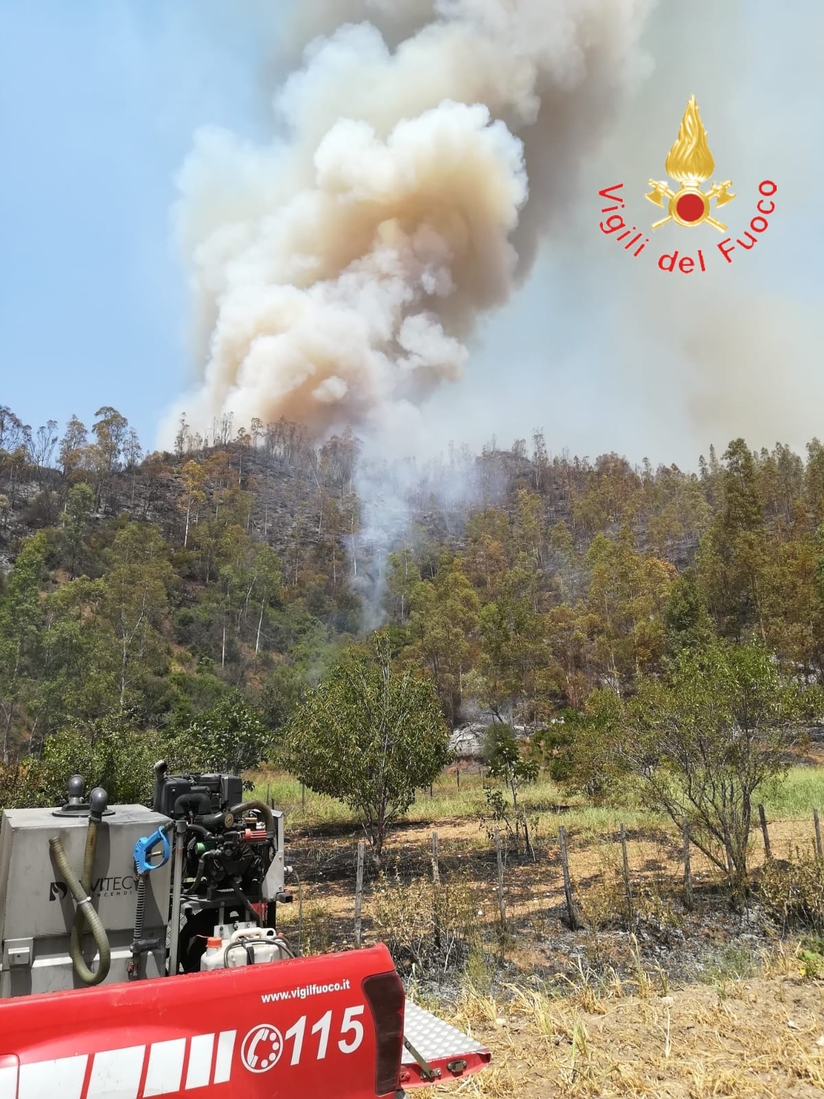 Vvf. Emergenza incendi "Catanzaro, Cosenza, Reggio Calabria, Crotone e Vibo Valentia" I dettagli