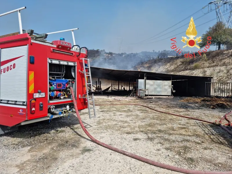Vvf. Emergenza incendi "Catanzaro, Cosenza, Reggio Calabria, Crotone e Vibo Valentia" I dettagli