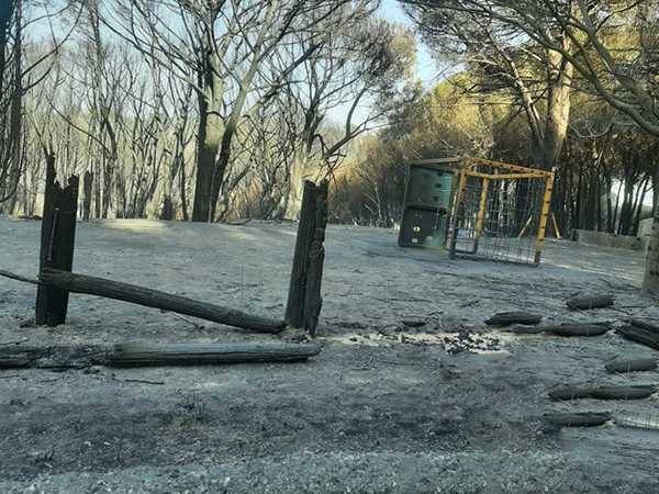 Incendi: Catanzaro, devastata la pineta, danni ingenti. Cappa di fumo ancora sulla città