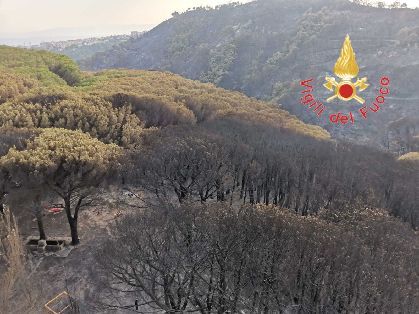 Vvf. Emergenza incendi boschivi (aggiornamento) Foto e Video