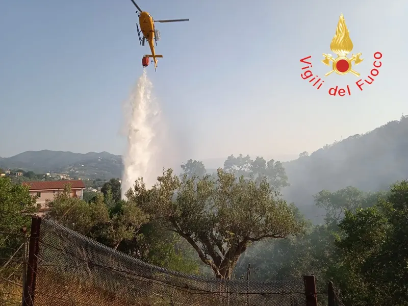 Vvf. Emergenza incendi boschivi (aggiornamento) Foto e Video
