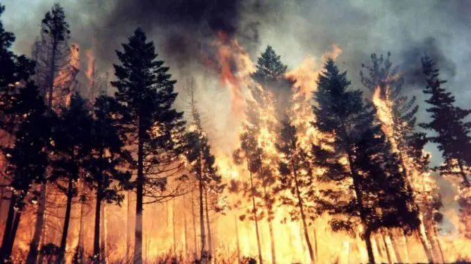 Incendi: Aspromonte, grazie Parco Appennino Lucano e volontari.