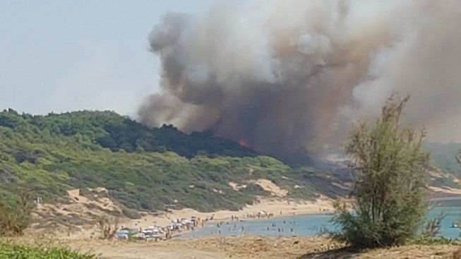 Calabria. Incendi: a fuoco pineta, evacuato un campeggio in località Sovereto. Leggi i dettagli