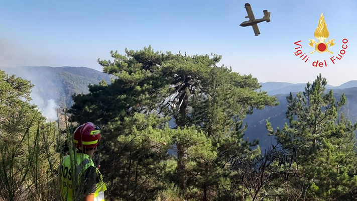 Vigili del fuoco: resoconto interventi di tipo antincendio boschivo