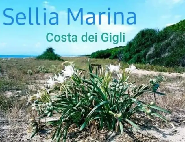 Nasce “La costa dei Gigli”: buone pratiche amministrative e naturalistiche nello ionio catanzarese