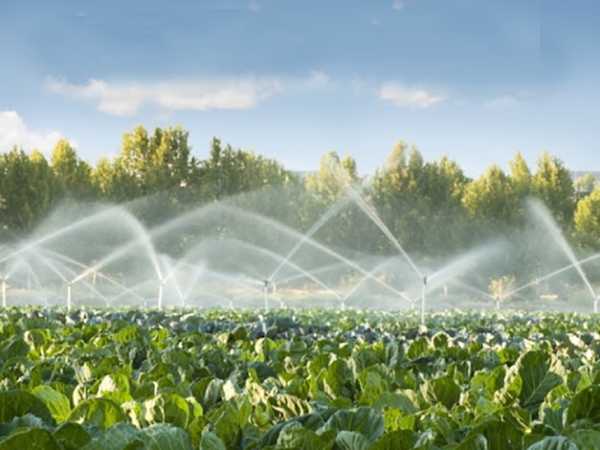 Acqua: Anbi, risorsa torna a irrigare campi catanzarese