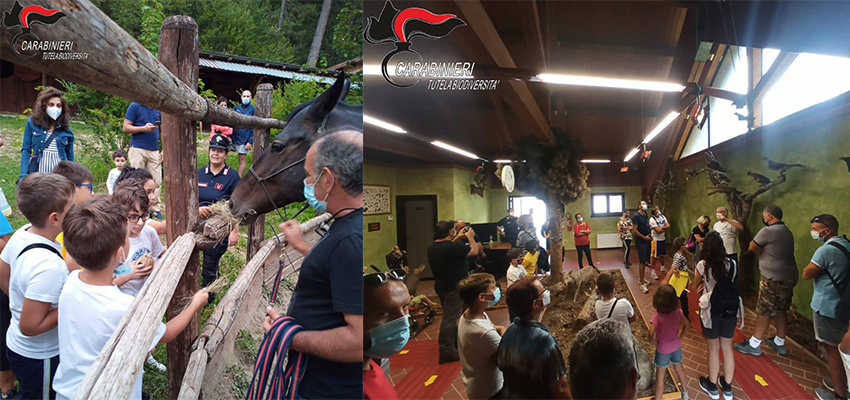 Carabinieri. Successo di pubblico per la notte della Biodiversità "Golia Corvo". (Foto)