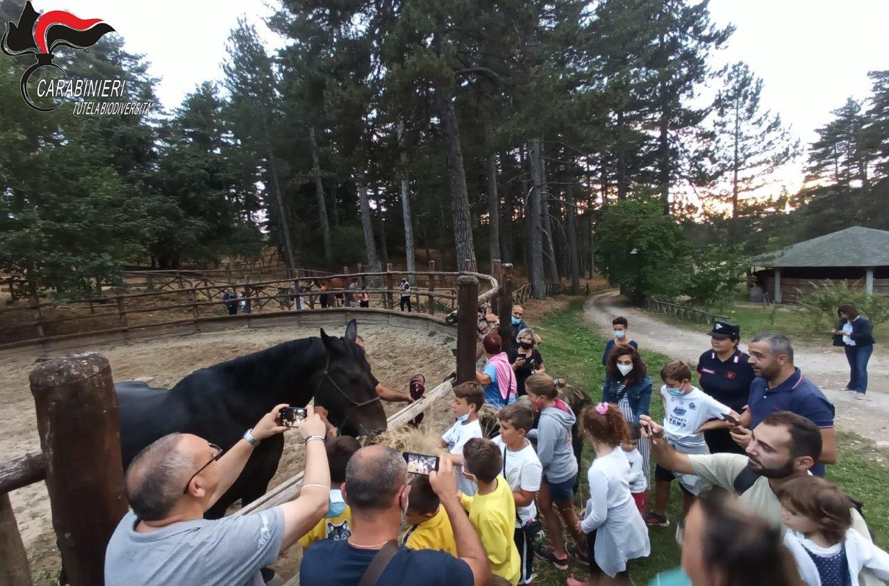 Carabinieri. Successo di pubblico per la notte della Biodiversità "Golia Corvo". (Foto)