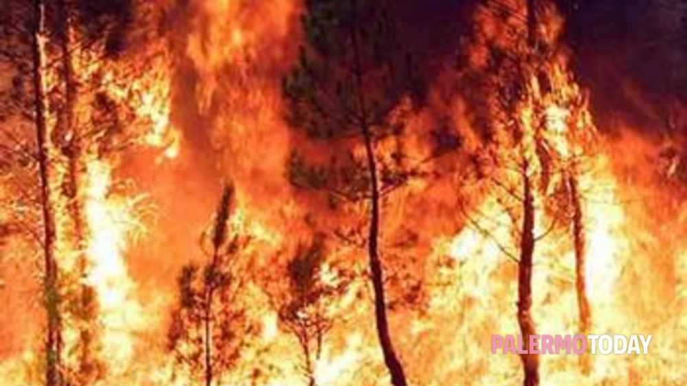 Cdm vara stato emergenze incendi in quattro regioni Sicilia, Sardegna, Molise, Calabria.