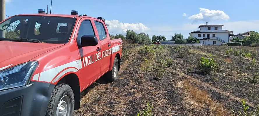 Tragedia sfiorata, incendio uliveto nel vibonese trovato a terra nonnino 93enne cosciente.