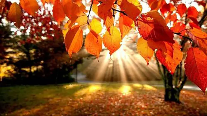 Poesie. Walter Perri: “Settembre”