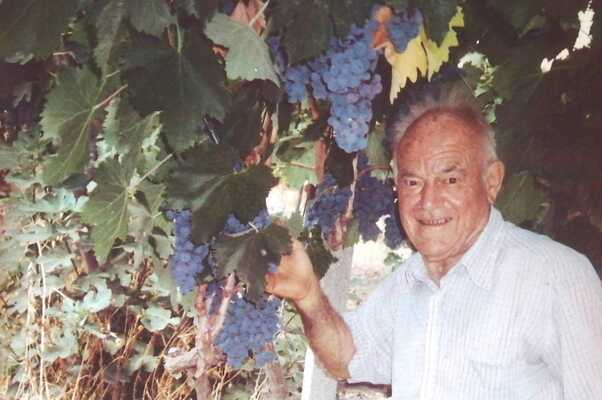 Aziende Virtuose. Spuria Vini: storia di un'azienda vitivinicola made in Messina