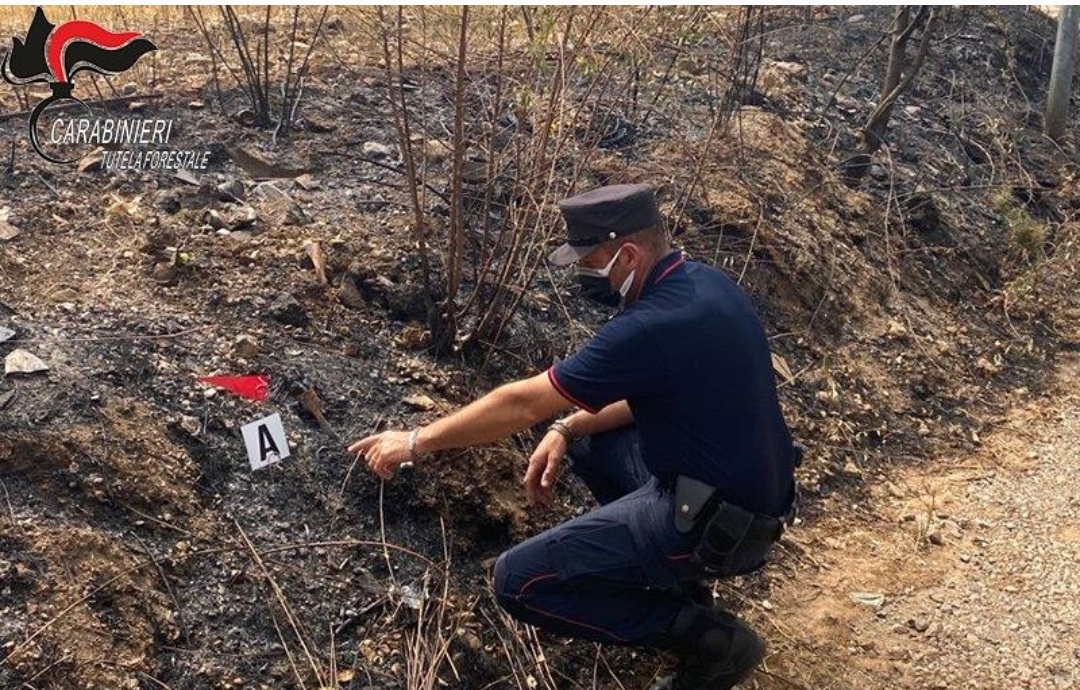 Calabria. Giovane dà fuoco alla vegetazione, individuato grazie alle telecamere