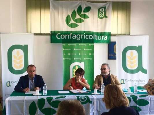 Calabria: incontro Amalia Bruni con Confagricoltura