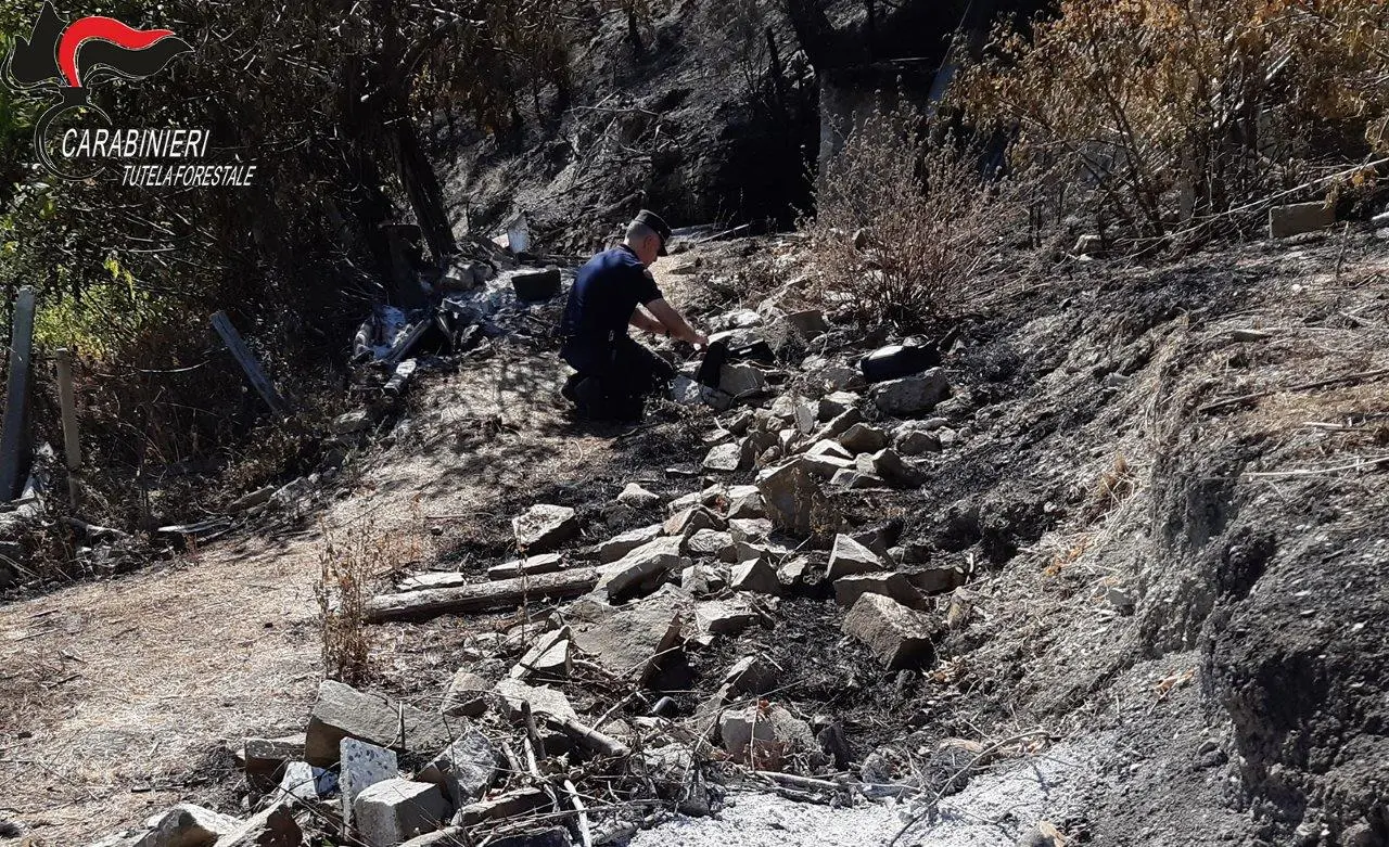 Vasto Incendio Albidona. Individuato e denunciato il piromane. I dettagli. (Foto)