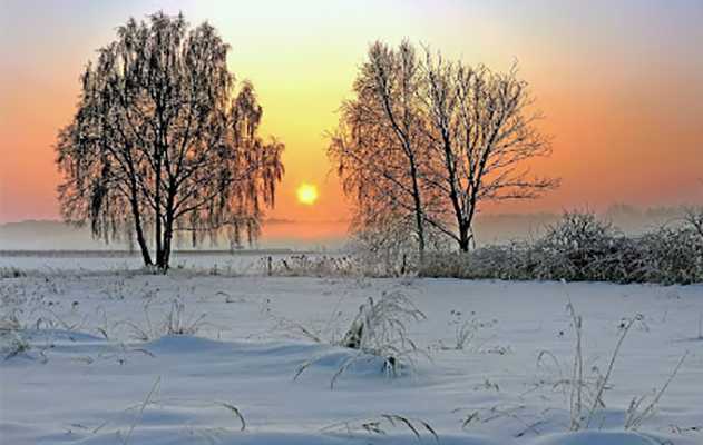Poesie. Walter Perri: “Reciterò i miei versi”