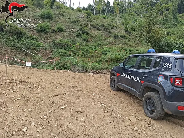 San Fili, sequestrata pista abusiva realizzata per l’esbosco