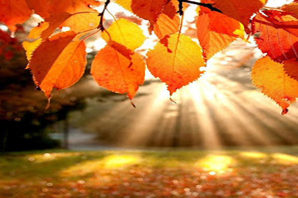 Poesia Versi. Walter Perri: “Autunno”