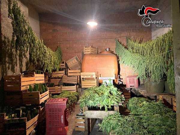 Calabria, Droga: sequestrati 54 chili di marijuana, due denunce