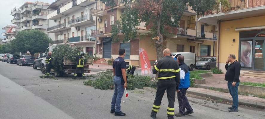 Bovalino (RC): le previsioni meteo preoccupano. Caduti alcuni rami su sede stradale (VIDEO).