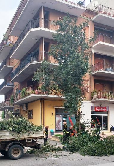Bovalino (RC): le previsioni meteo preoccupano. Caduti alcuni rami su sede stradale (VIDEO).
