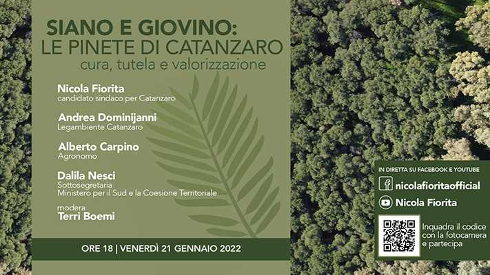Cura e tutela delle pinete di Catanzaro, venerdì il webinar di Nicola Fiorita