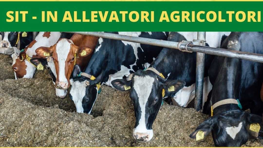 Coldiretti Calabria: speculazioni, caro energia, aziende a rischio chiusura allevatori e agricoltori