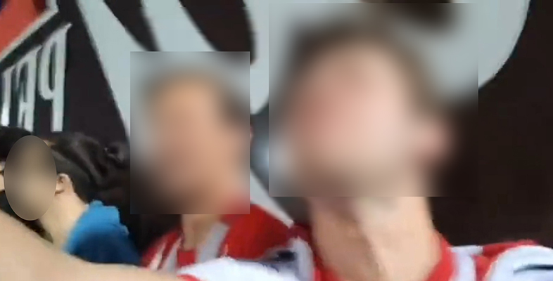 'Scimmie calabresi', bufera su tifoso vicentino. Sindaco veneto si scusa