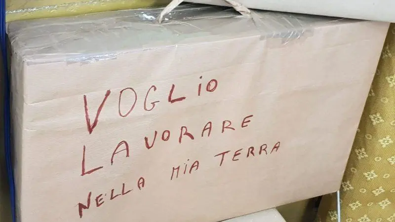 Saccomanno (Lega): Disastro occupazione Calabria, sempre negli ultimi posti!