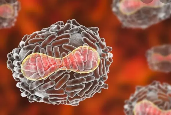 Ecco cosa sappiamo della diffusione del vaiolo delle scimmie